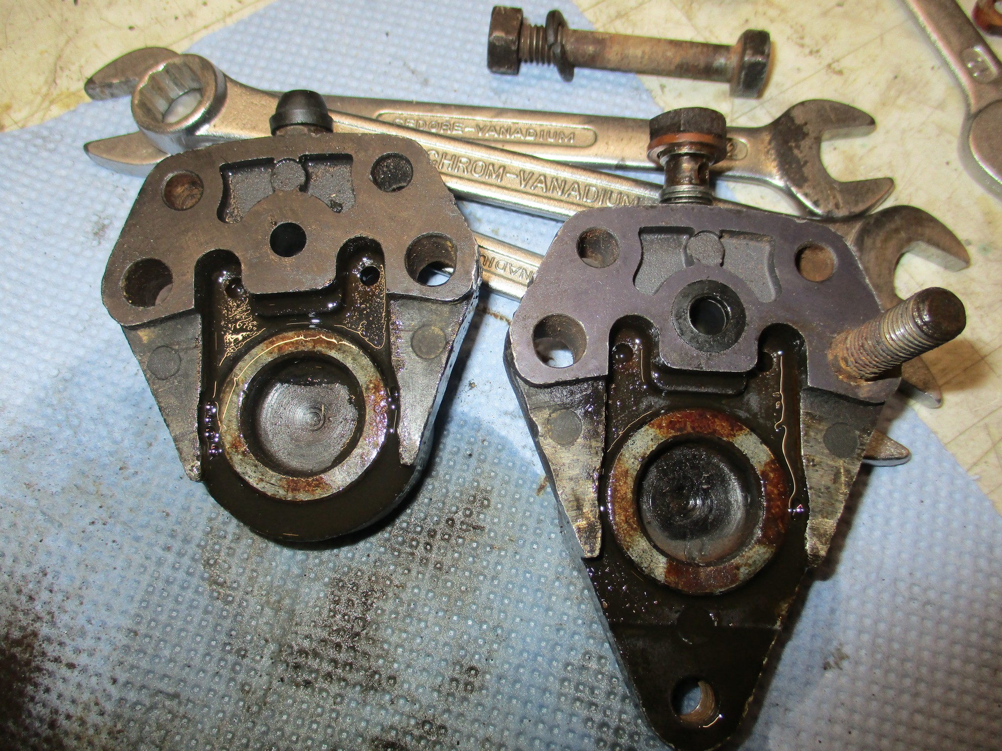 mini IMG 1296.jpg