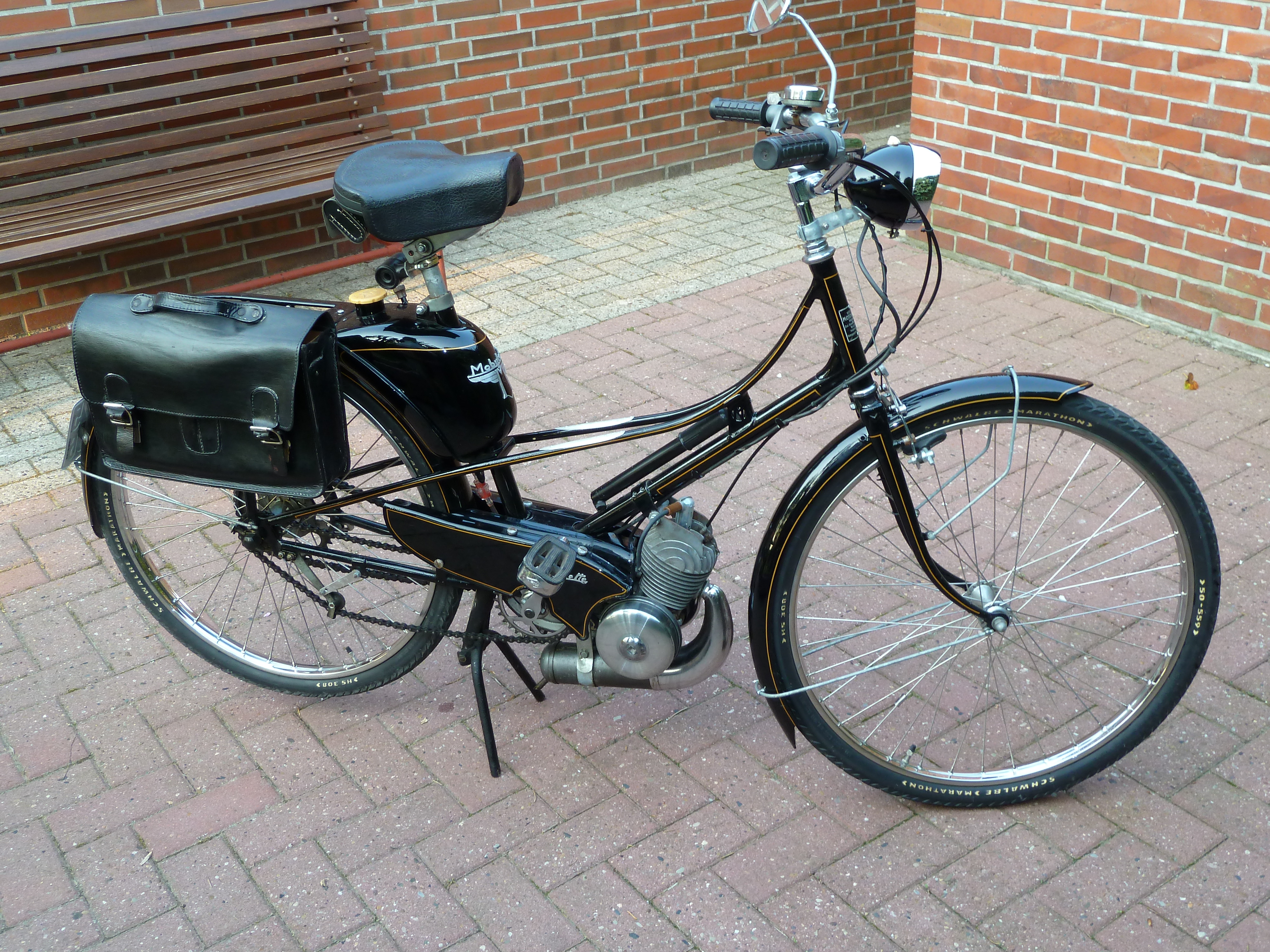 P1000097.jpg
