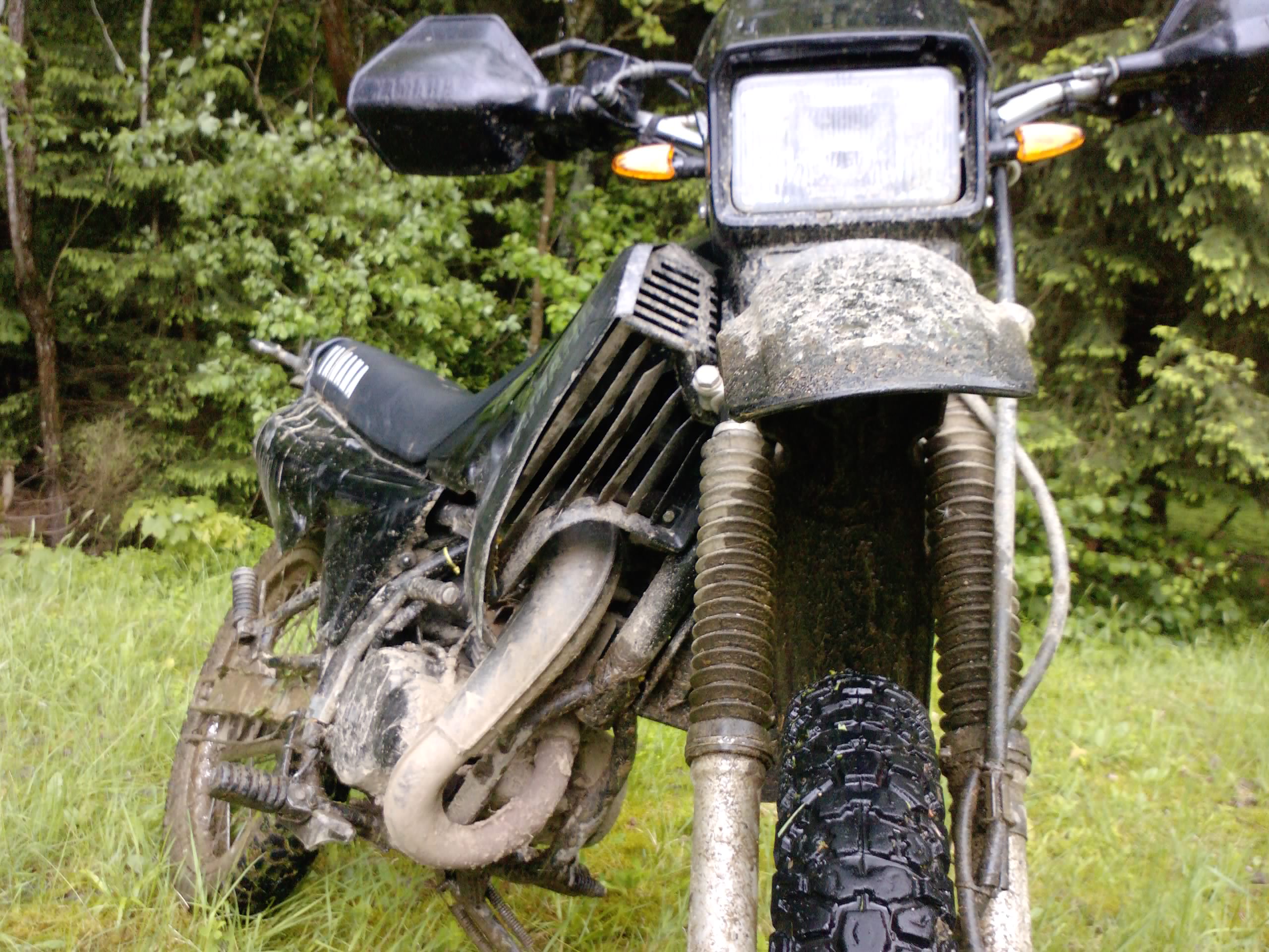 P1230 31-05-10.jpg