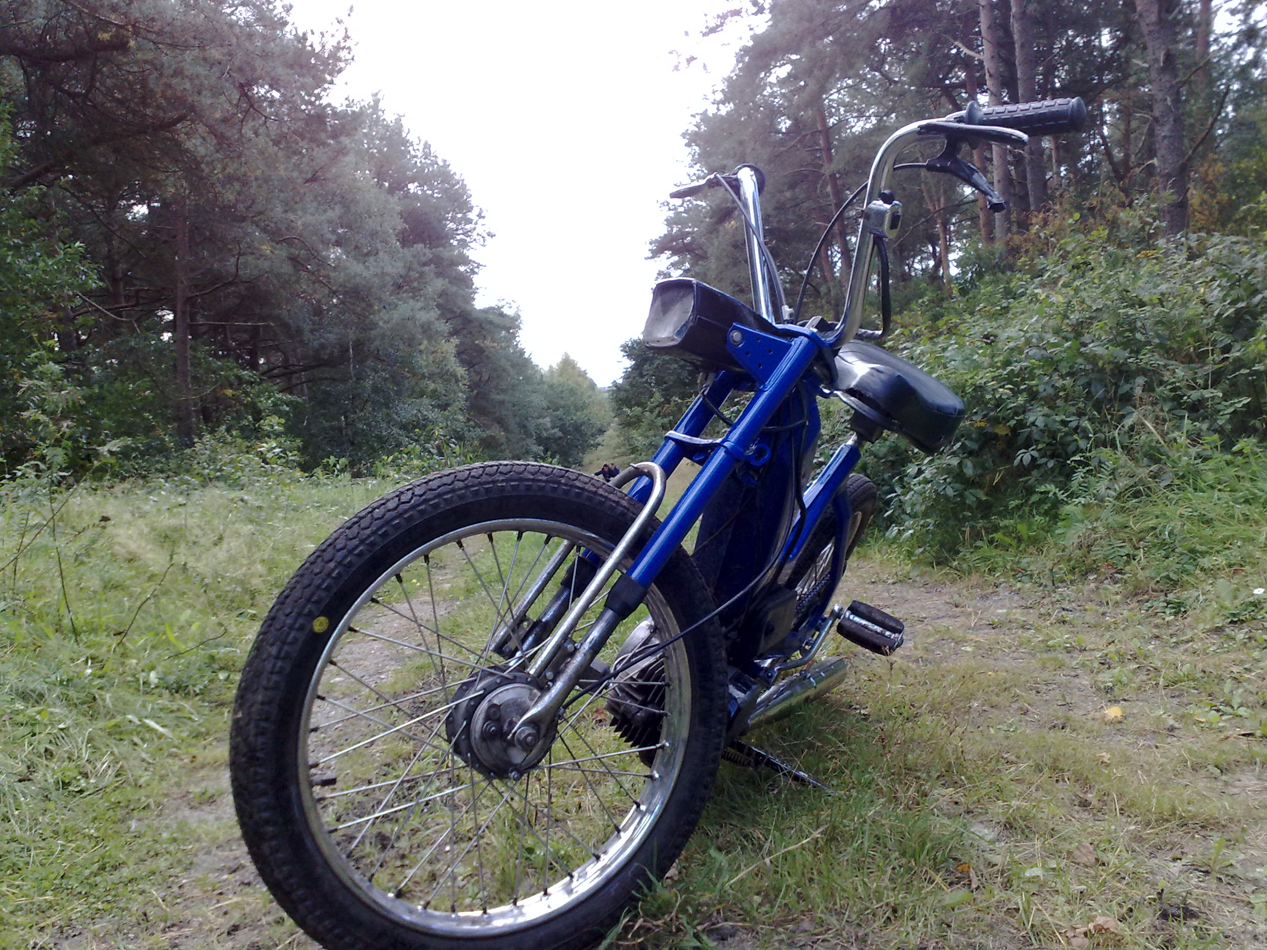 Puch maxi n Anfang bis fast Ende.jpg