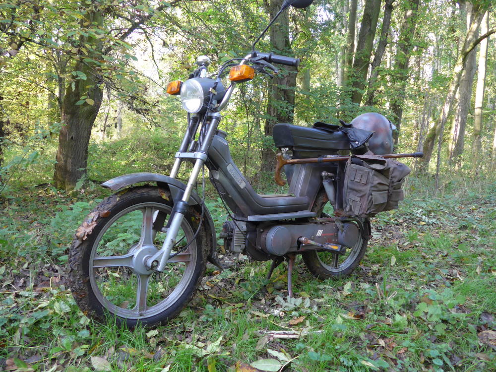 SI-003.jpg