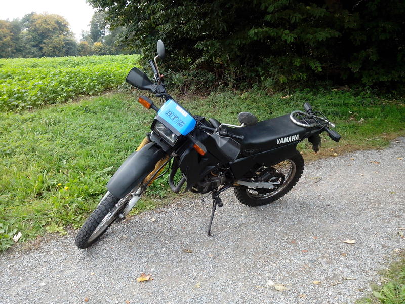 12098514ca.jpg