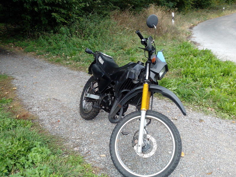 12098515ob.jpg