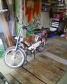 Puch Maxi 03.jpg